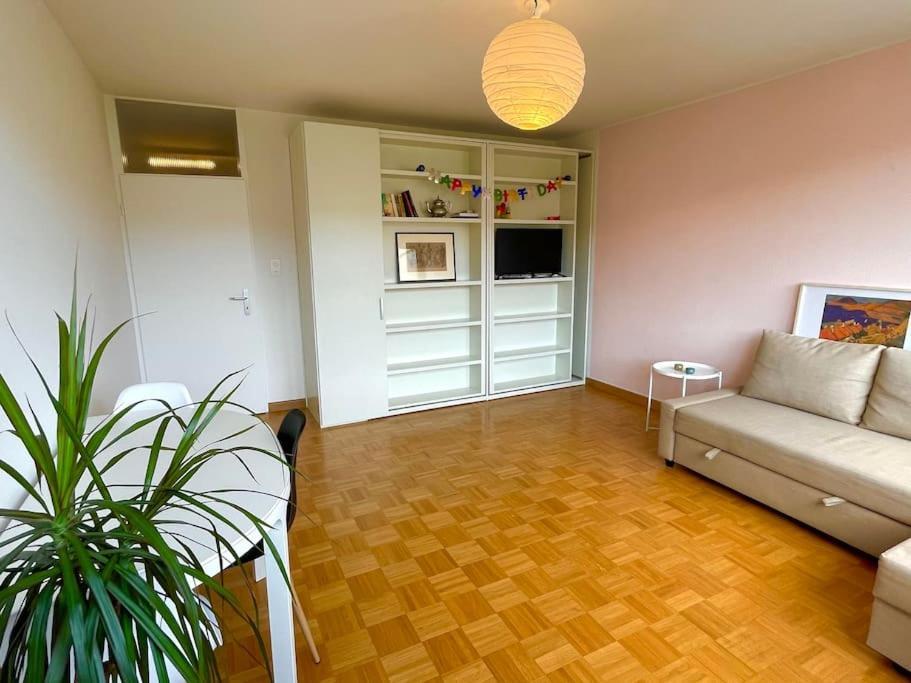 Cozy Flat In The Center Of Kleinbasel Appartement Buitenkant foto